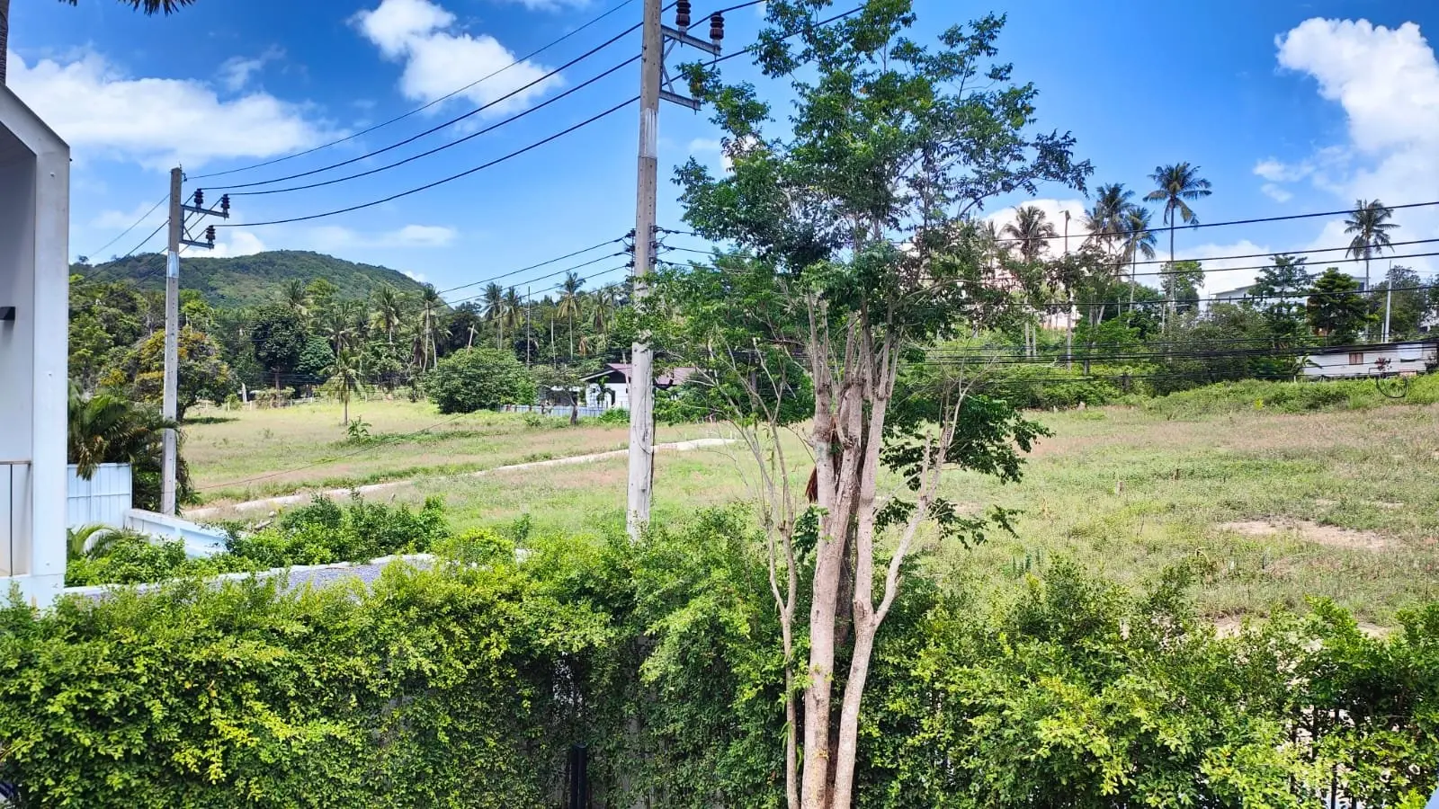 带游泳池的3卧室独立住宅出租