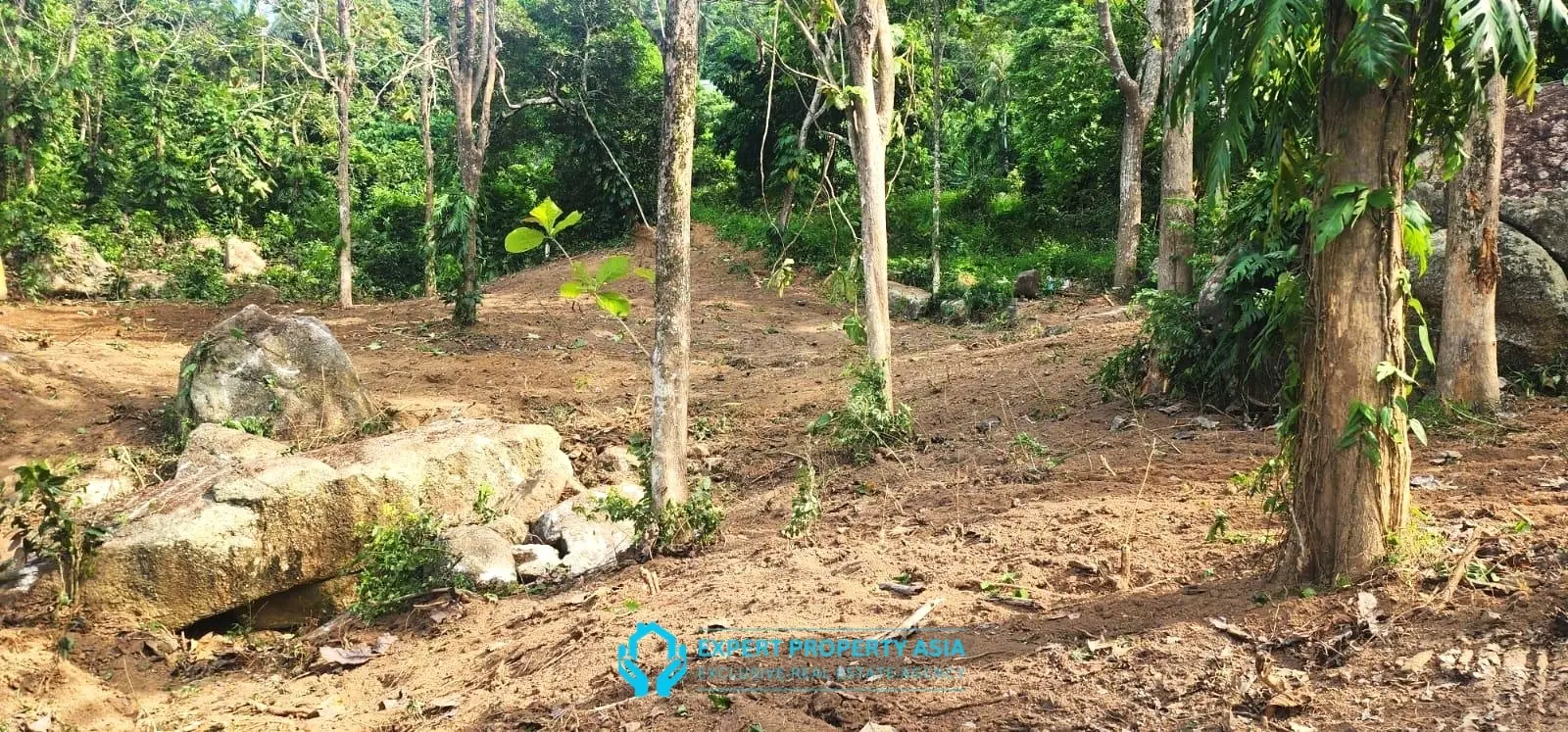 "Prime Land for Sale in Lamai – Perfect for Development, Close to Beach & Amenities"