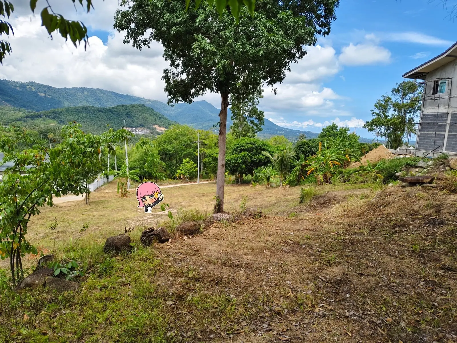 "Terrain de 1 Rai en bord de mer à Maenam, Koh Samui – Investissez dans le paradis !"