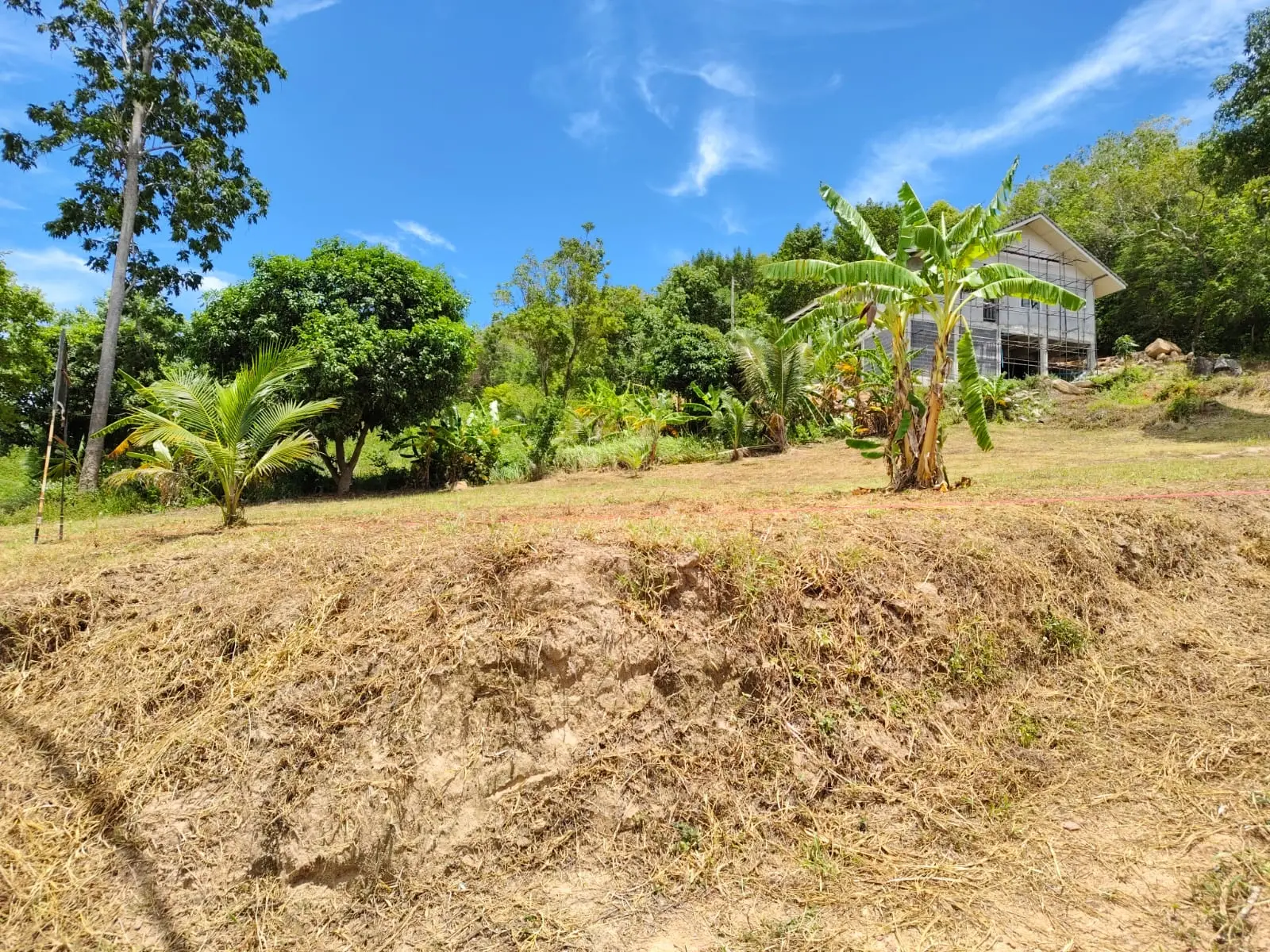 "Terrain de 1 Rai en bord de mer à Maenam, Koh Samui – Investissez dans le paradis !"