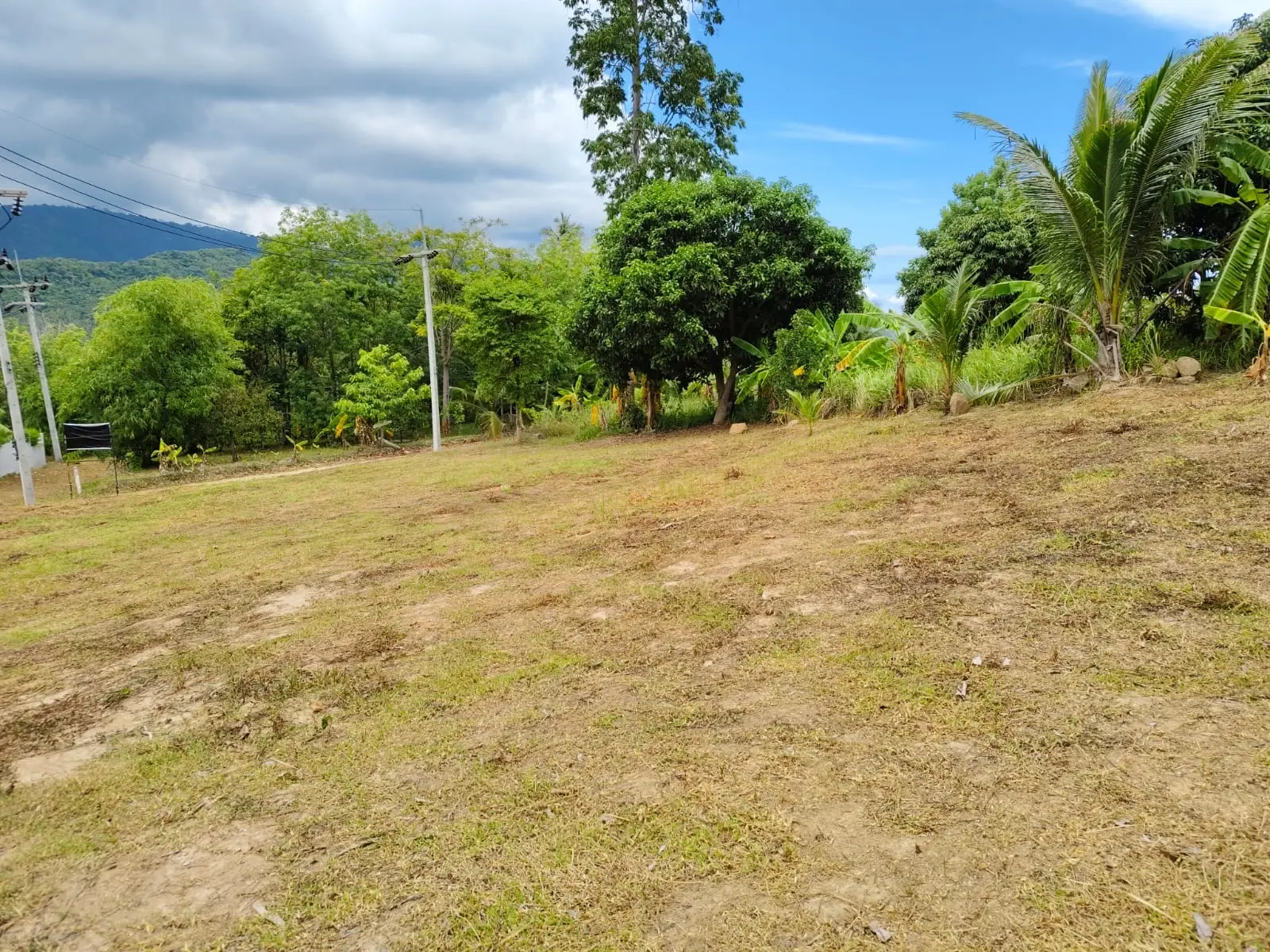 "Terrain de 1 Rai en bord de mer à Maenam, Koh Samui – Investissez dans le paradis !"