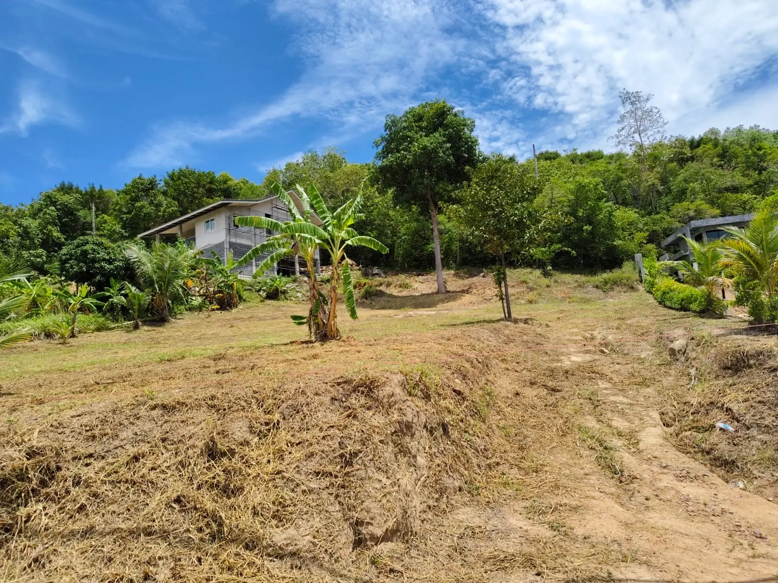 "Terrain de 1 Rai en bord de mer à Maenam, Koh Samui – Investissez dans le paradis !"