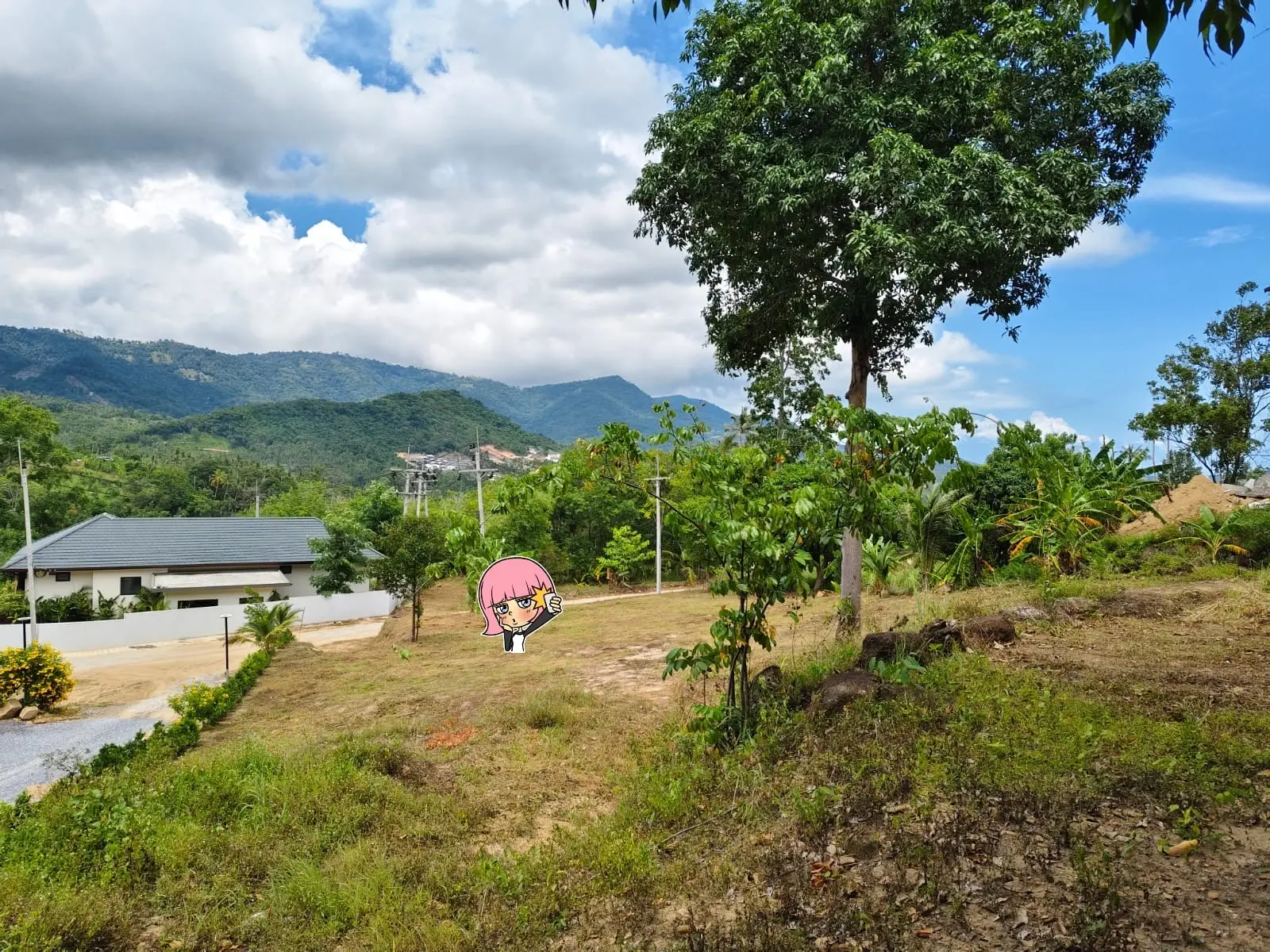 "Terrain de 1 Rai en bord de mer à Maenam, Koh Samui – Investissez dans le paradis !"