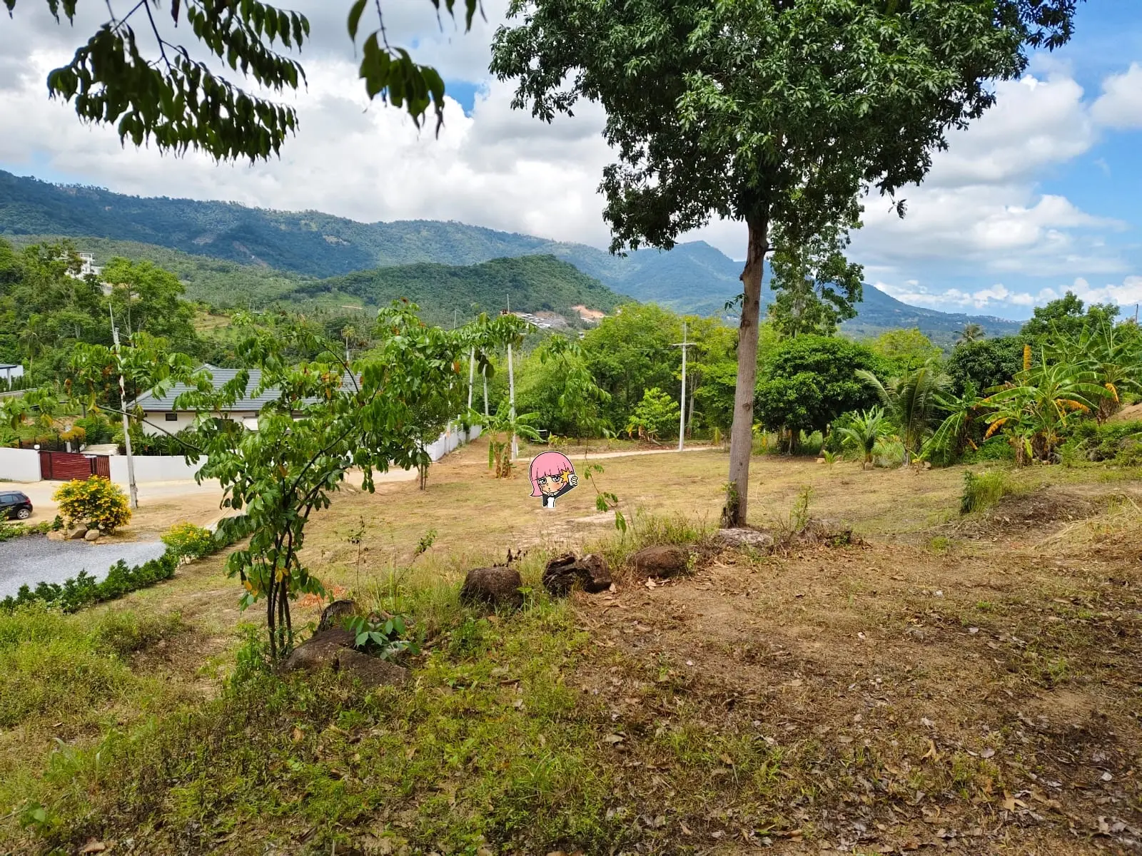 "Terrain de 1 Rai en bord de mer à Maenam, Koh Samui – Investissez dans le paradis !"