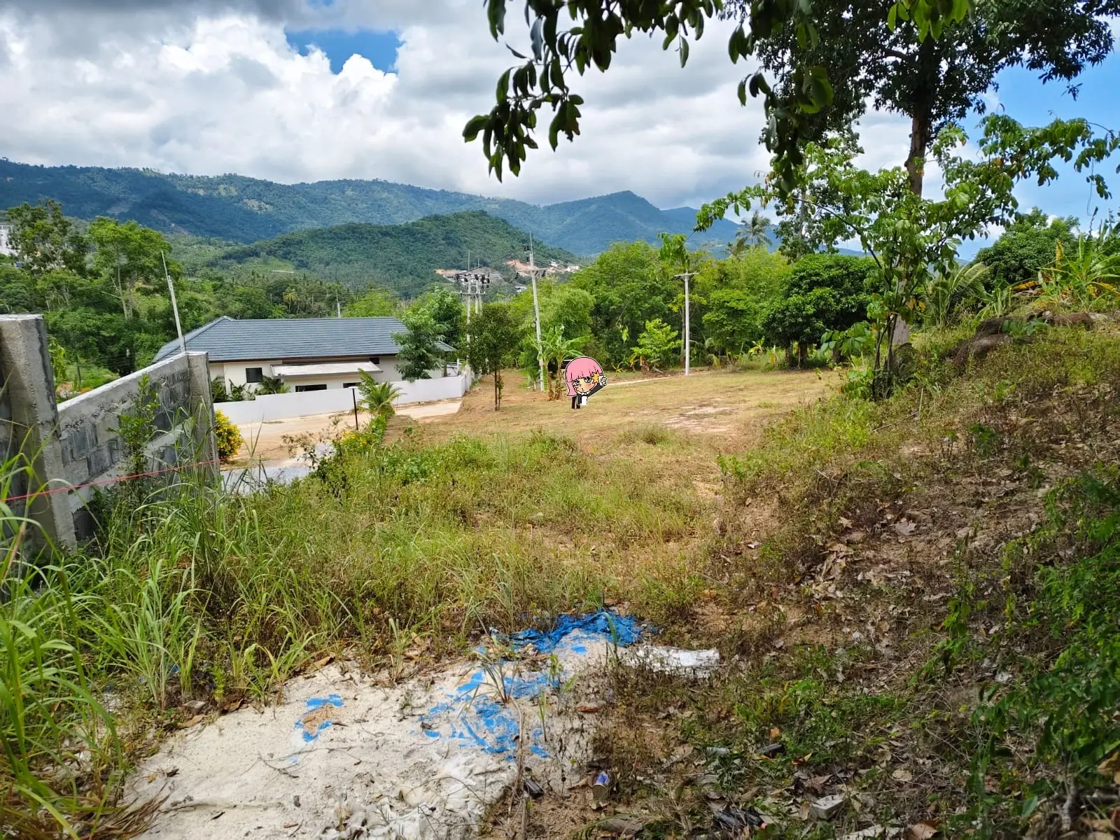 "Terrain de 1 Rai en bord de mer à Maenam, Koh Samui – Investissez dans le paradis !"