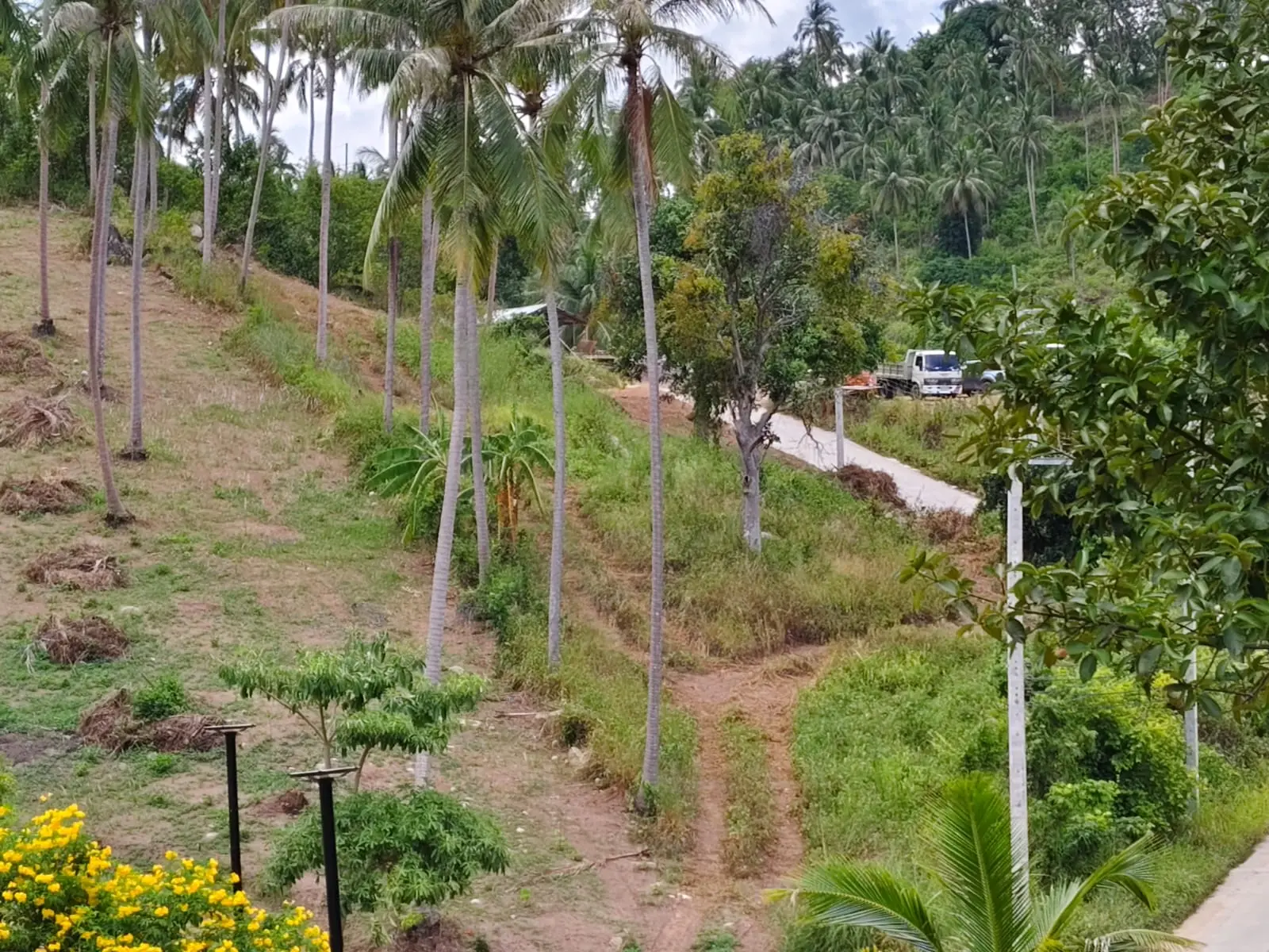 "Valeur Exceptionnelle : Terrain de 568 sqm en pleine propriété avec titre Chanote à Maenam, Koh Samui !"