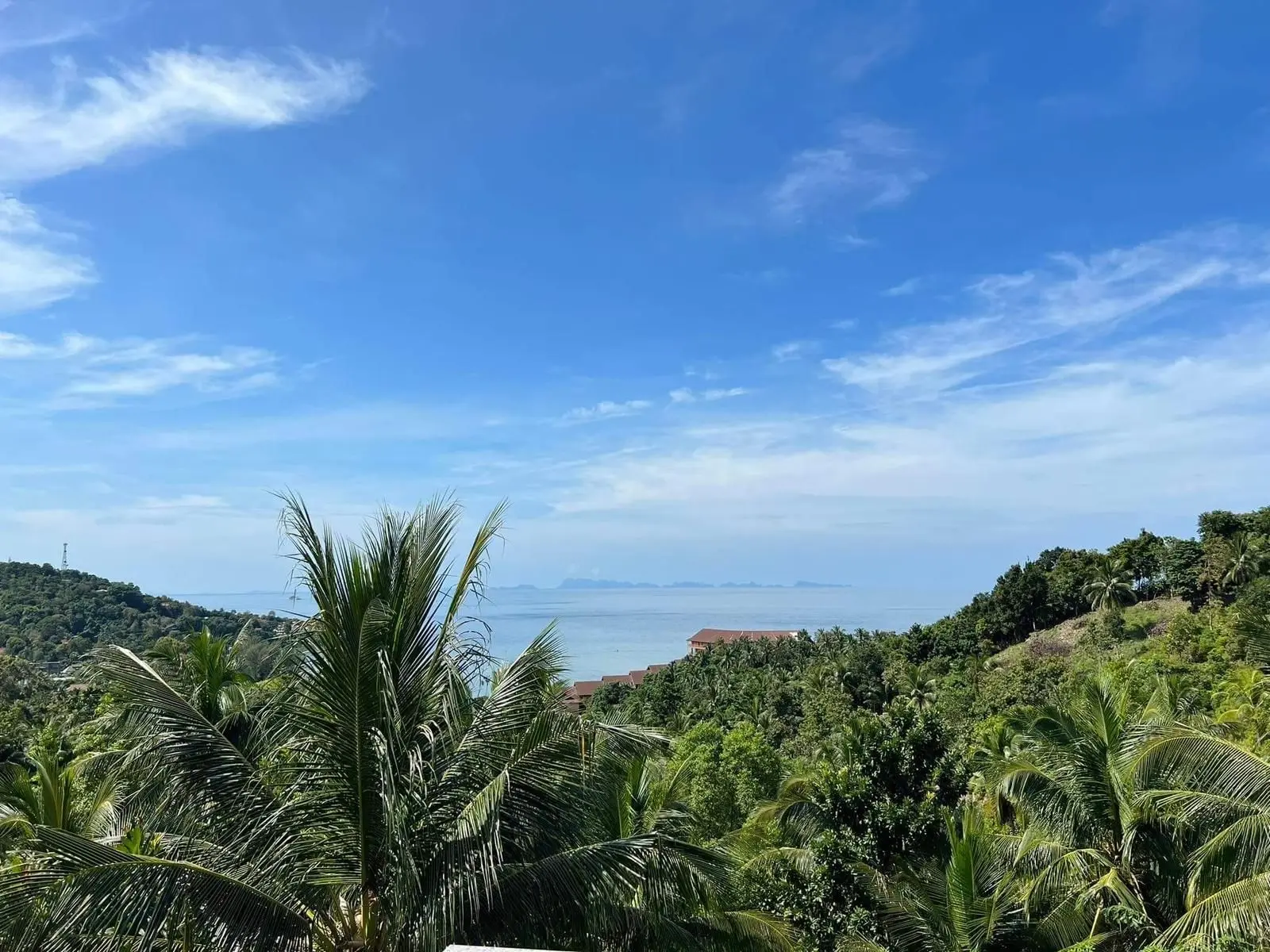 "Prime Sea View Land for Sale in Ko Phangan – Invest in Your Dream!"