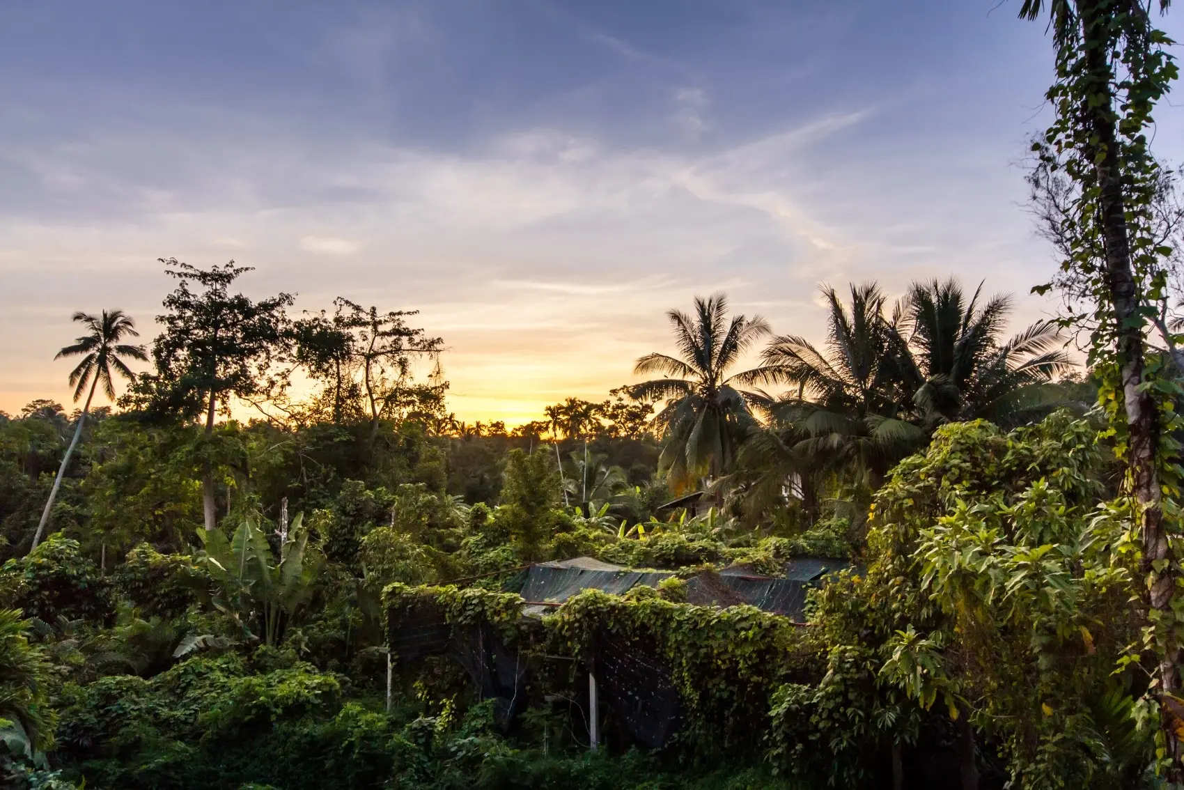 "Villa spacieuse de 5 chambres avec piscine et beau jardin à Nathon, Koh Samui"