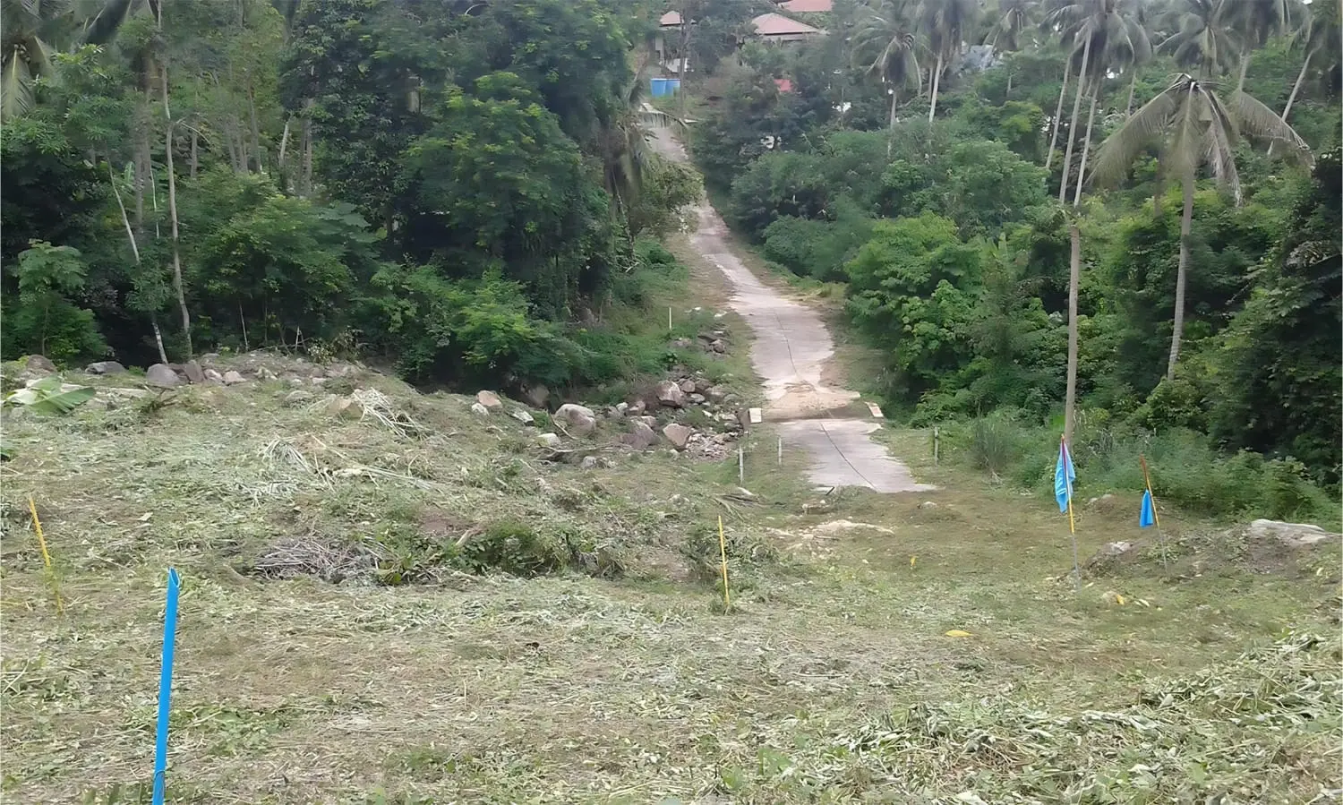 Terrain à vendre : Parcelle 8-3-12 Rai à Koh Samui