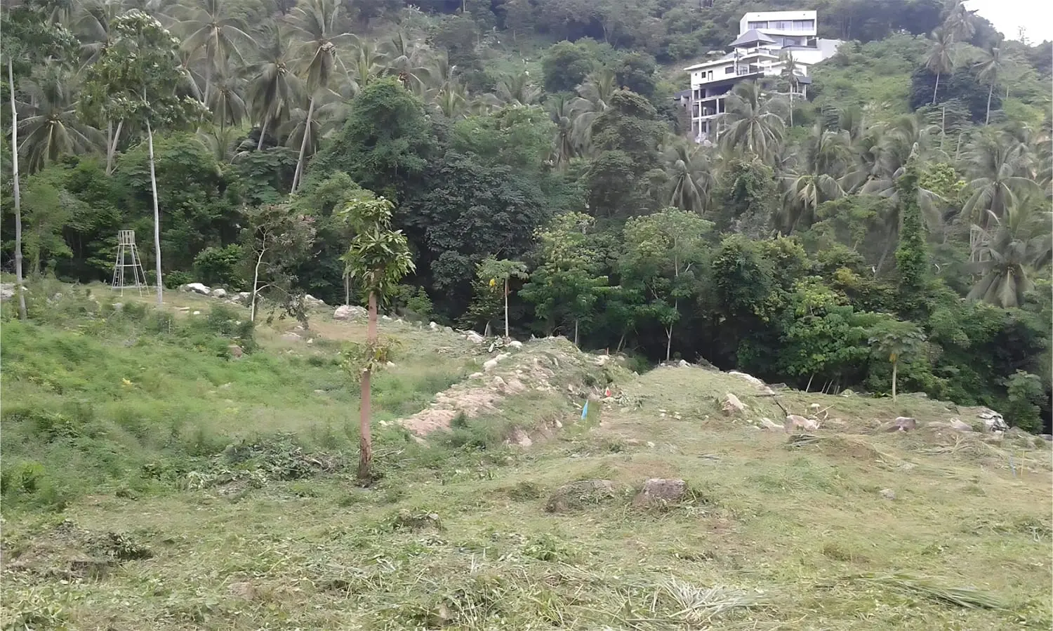 Terrain à vendre : Parcelle 8-3-12 Rai à Koh Samui