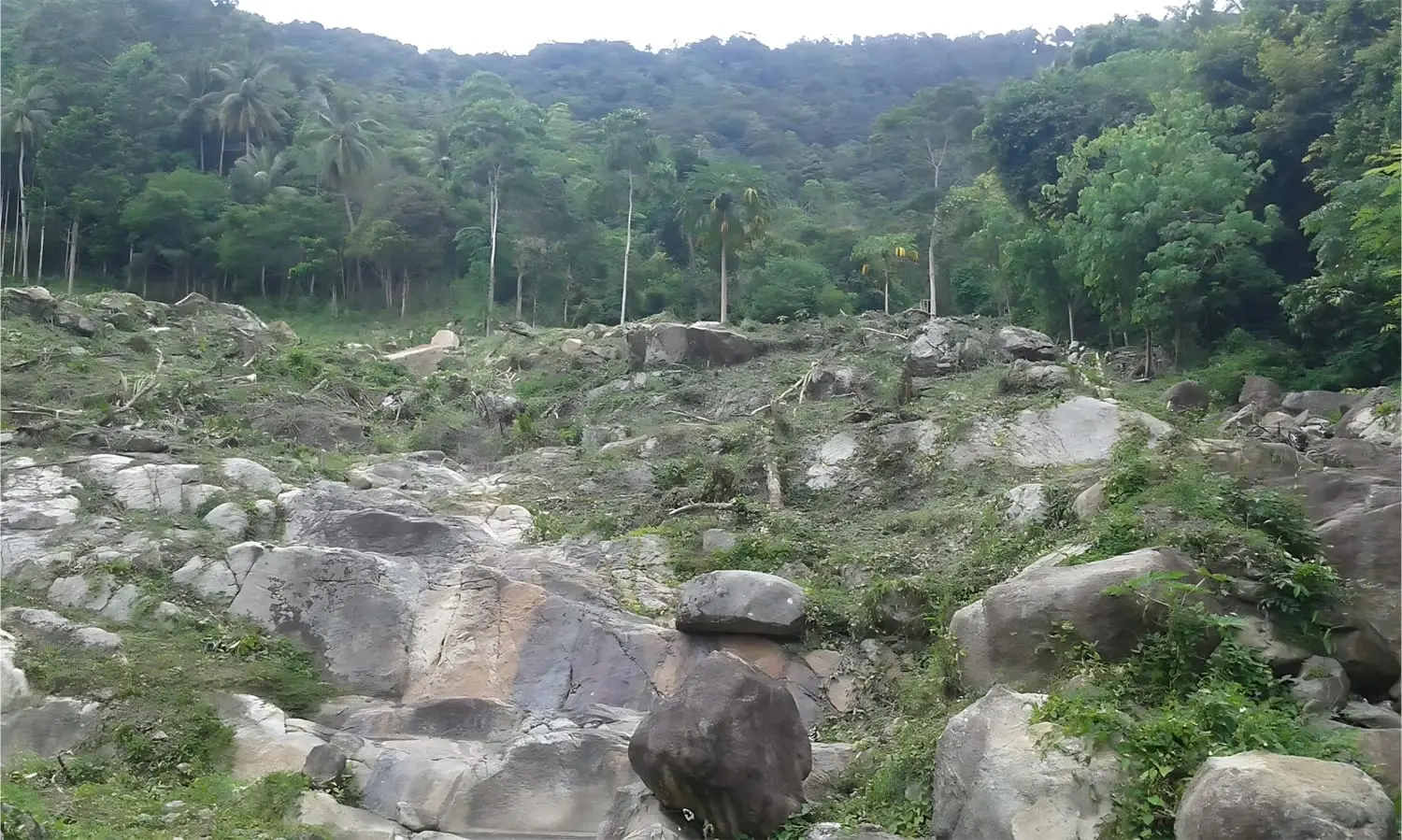 Terrain à vendre : Parcelle 8-3-12 Rai à Koh Samui