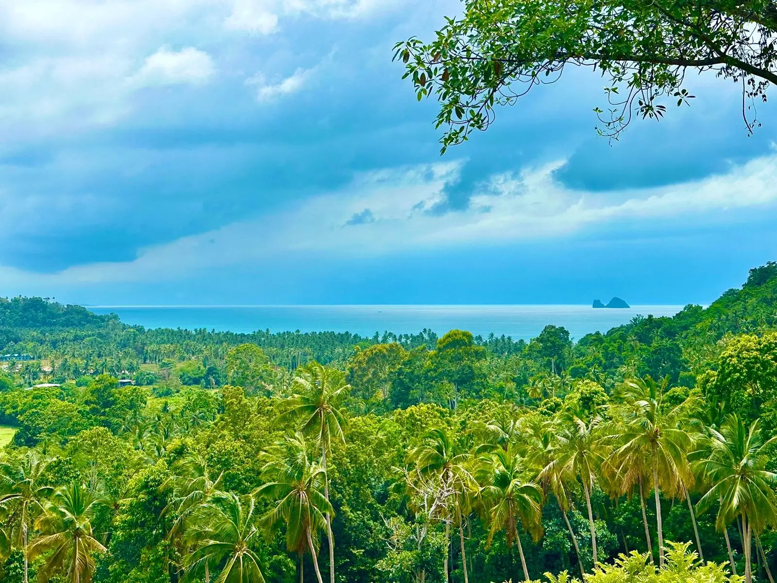 "Oasis vue sur océan : 9 Rai de paradis à Taling Ngam !"