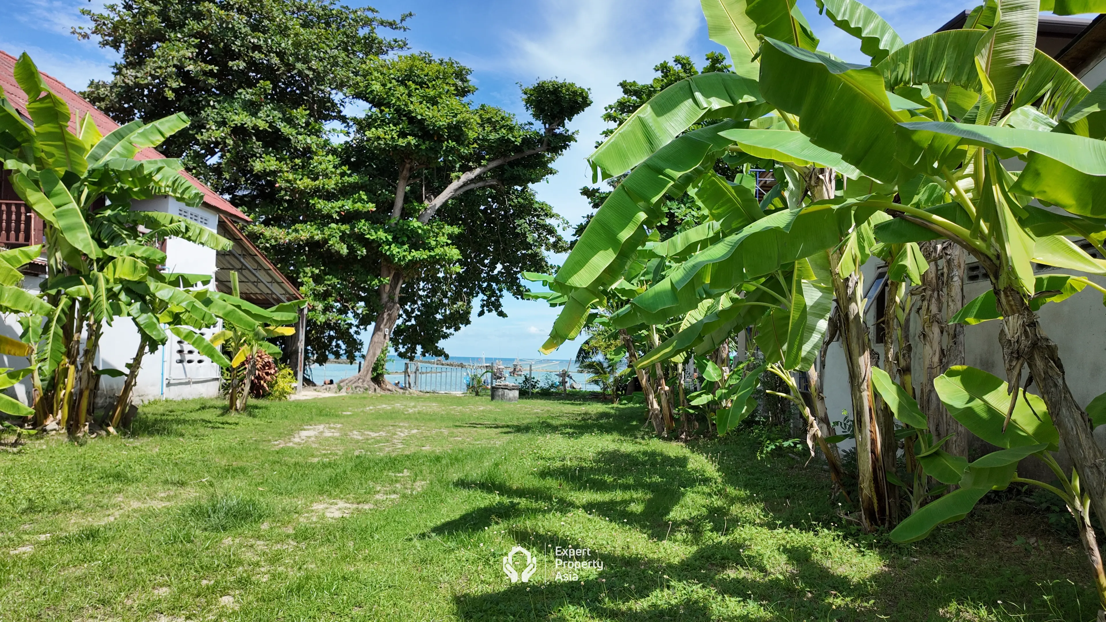 โอกาสที่ยอดเยี่ยมในการเป็นเจ้าของที่ดินติดชายหาดใกล้โรงเรียนนานาชาติ