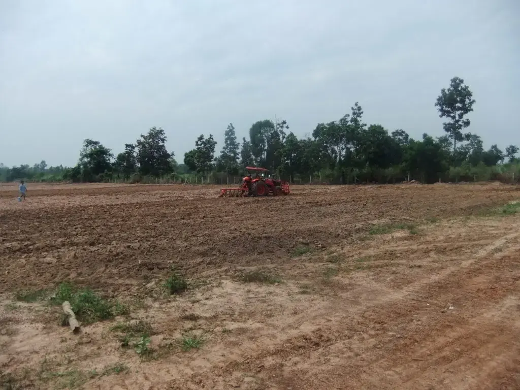 30 Rai of Fertile Land For Sale in Ban Pa Kao, Nong Han, Udon Thani, Thailand