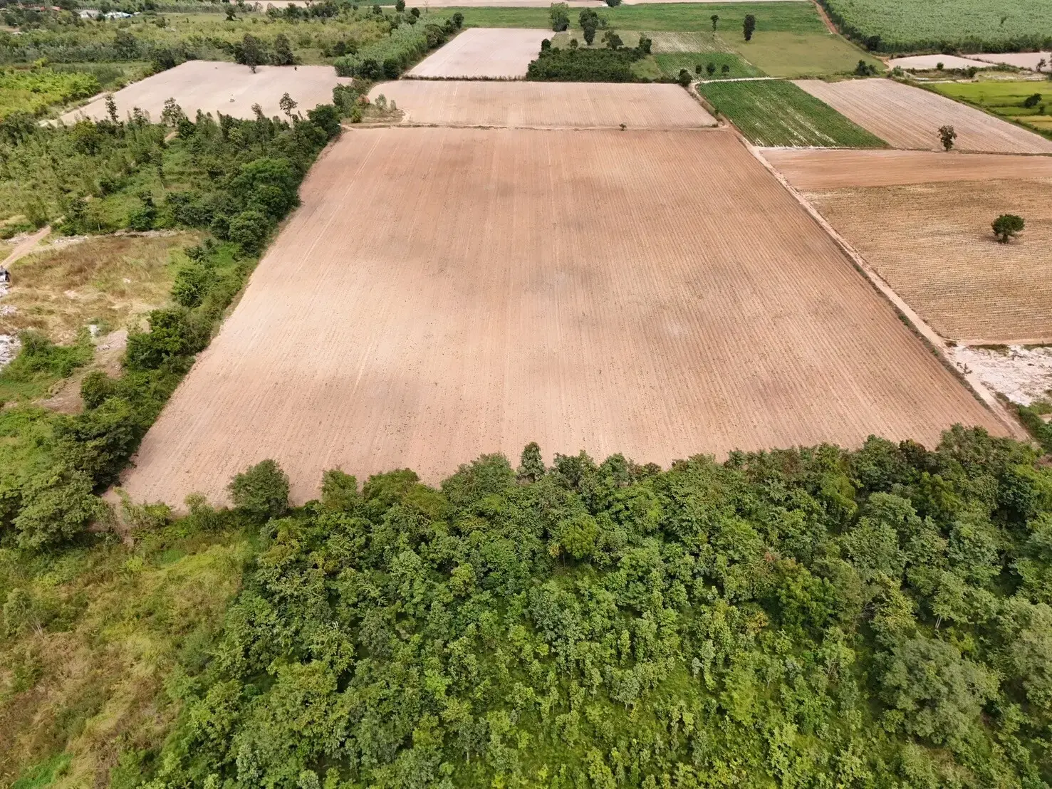 30 Rai of Fertile Land For Sale in Ban Pa Kao, Nong Han, Udon Thani, Thailand