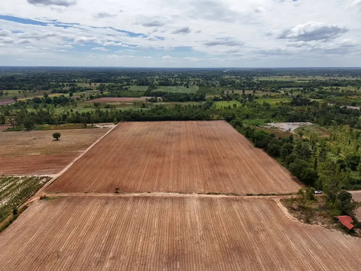 30 Rai of Fertile Land For Sale in Ban Pa Kao, Nong Han, Udon Thani, Thailand