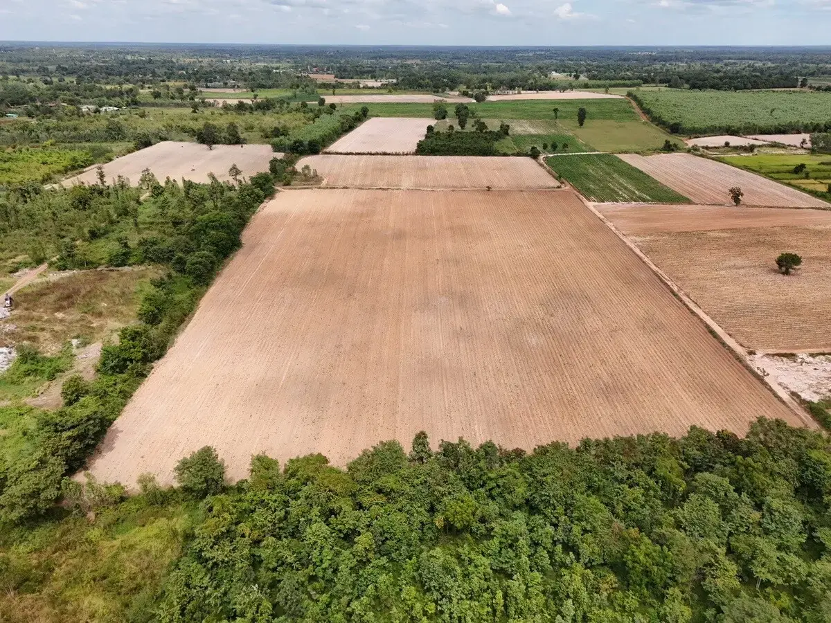 30 Rai of Fertile Land For Sale in Ban Pa Kao, Nong Han, Udon Thani, Thailand