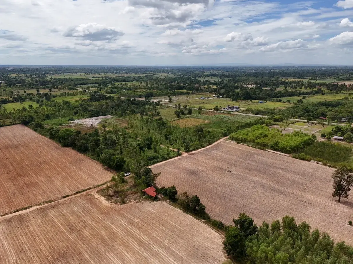 30 Rai of Fertile Land For Sale in Ban Pa Kao, Nong Han, Udon Thani, Thailand