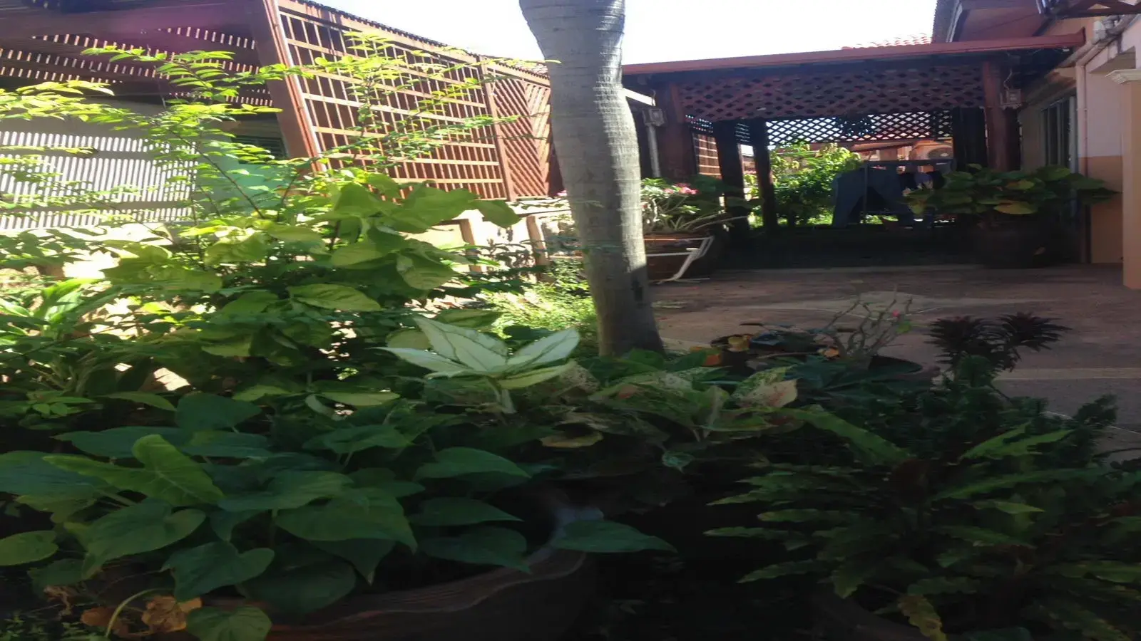 บ้านให้เช่าในสภาพดี 3 ห้องนอน 2 ห้องน้ำ วางขายแล้ว ตำบลหนองบัว อุดรธานี