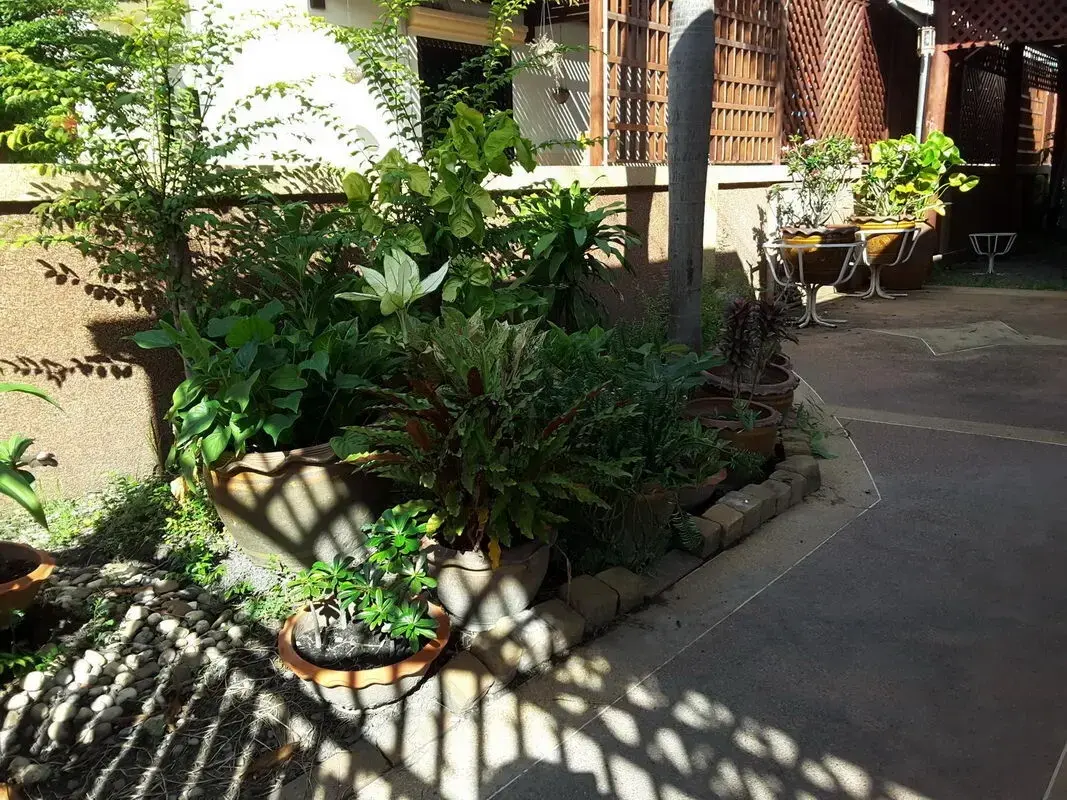 บ้านให้เช่าในสภาพดี 3 ห้องนอน 2 ห้องน้ำ วางขายแล้ว ตำบลหนองบัว อุดรธานี