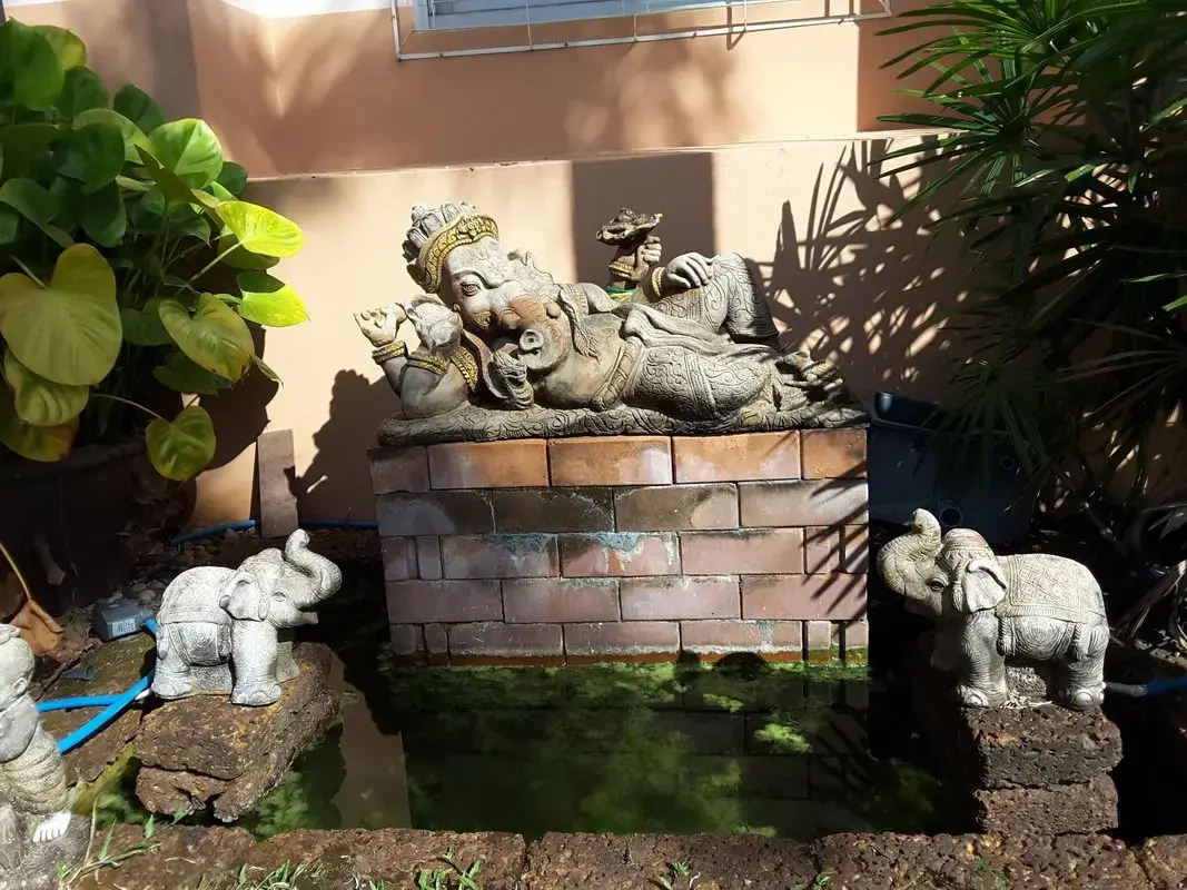 บ้านให้เช่าในสภาพดี 3 ห้องนอน 2 ห้องน้ำ วางขายแล้ว ตำบลหนองบัว อุดรธานี