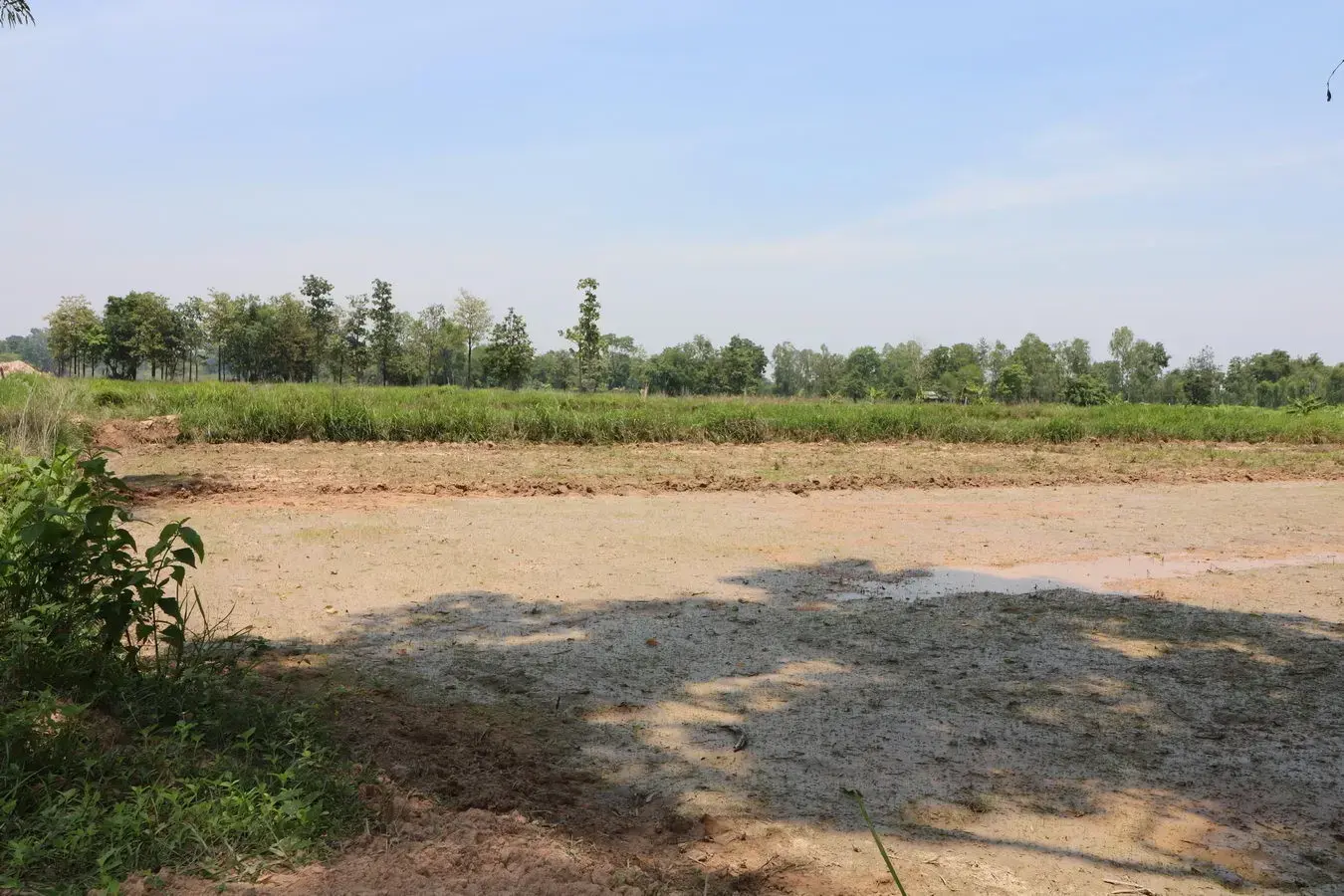 9 Rai of Farmlet Land For Sale, Nong Han, Udon Thani, Thailand