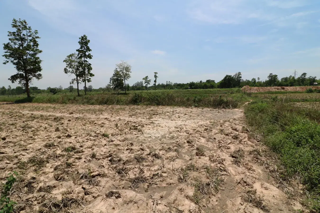 9 Rai of Farmlet Land For Sale, Nong Han, Udon Thani, Thailand