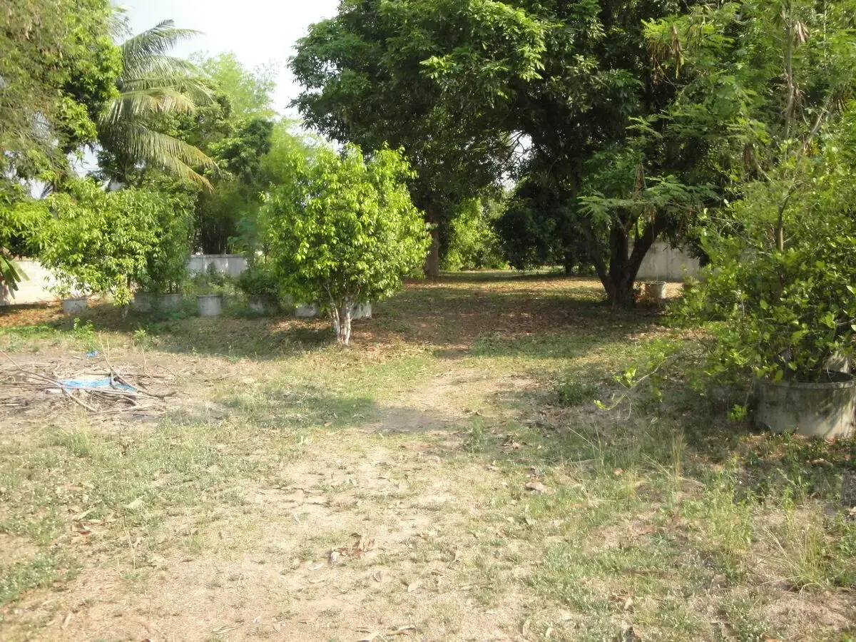 Affordable Land for Sale in Sakon Nakhon – Prime Location Near Hang Hong, Sakon Nakhon, Thailand