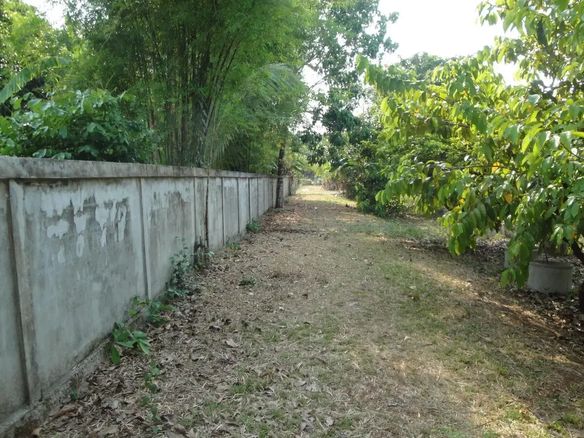 Affordable Land for Sale in Sakon Nakhon – Prime Location Near Hang Hong, Sakon Nakhon, Thailand