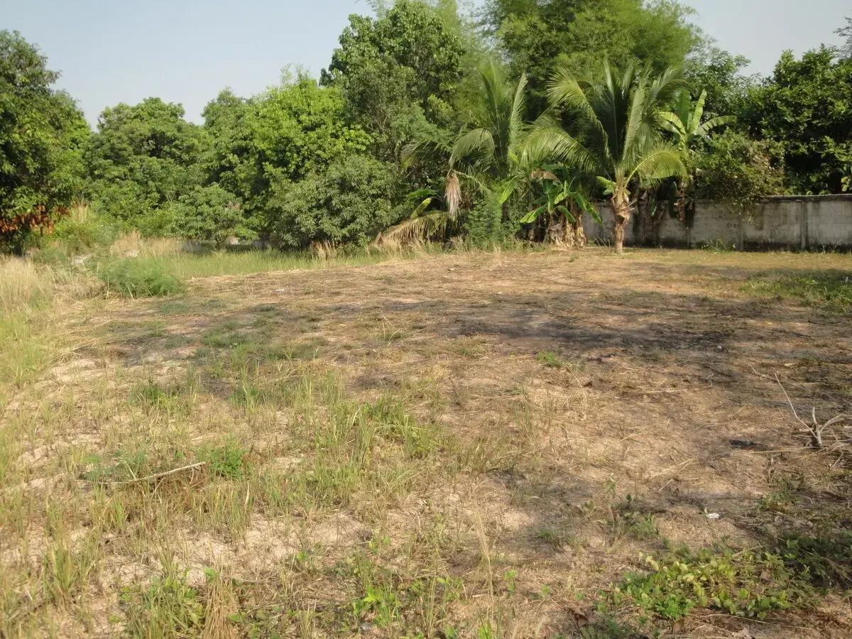Affordable Land for Sale in Sakon Nakhon – Prime Location Near Hang Hong, Sakon Nakhon, Thailand
