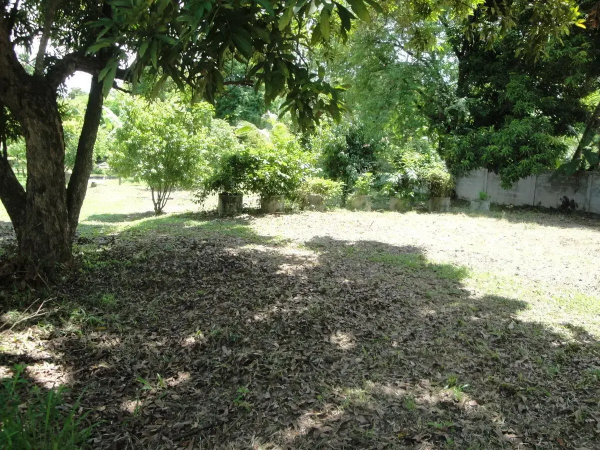 Affordable Land for Sale in Sakon Nakhon – Prime Location Near Hang Hong, Sakon Nakhon, Thailand