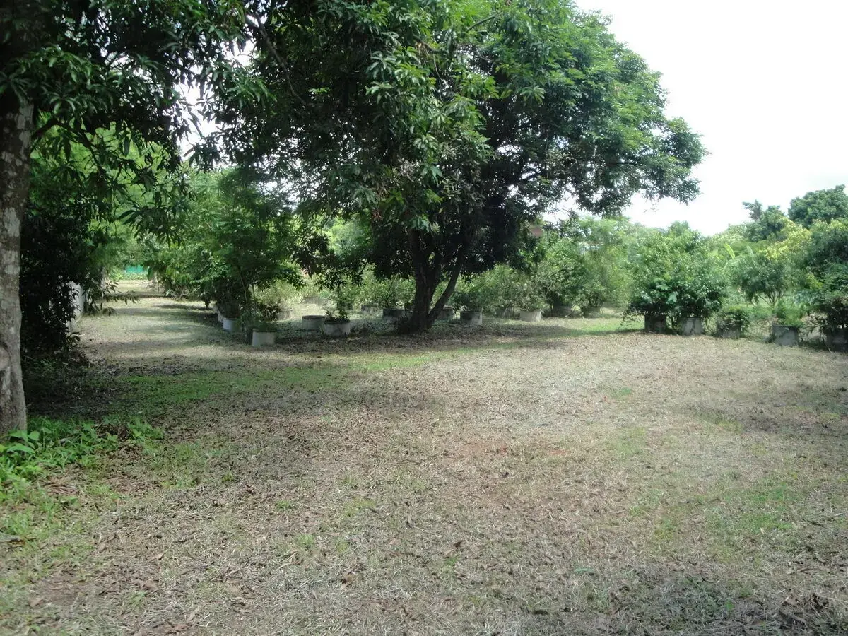 Affordable Land for Sale in Sakon Nakhon – Prime Location Near Hang Hong, Sakon Nakhon, Thailand