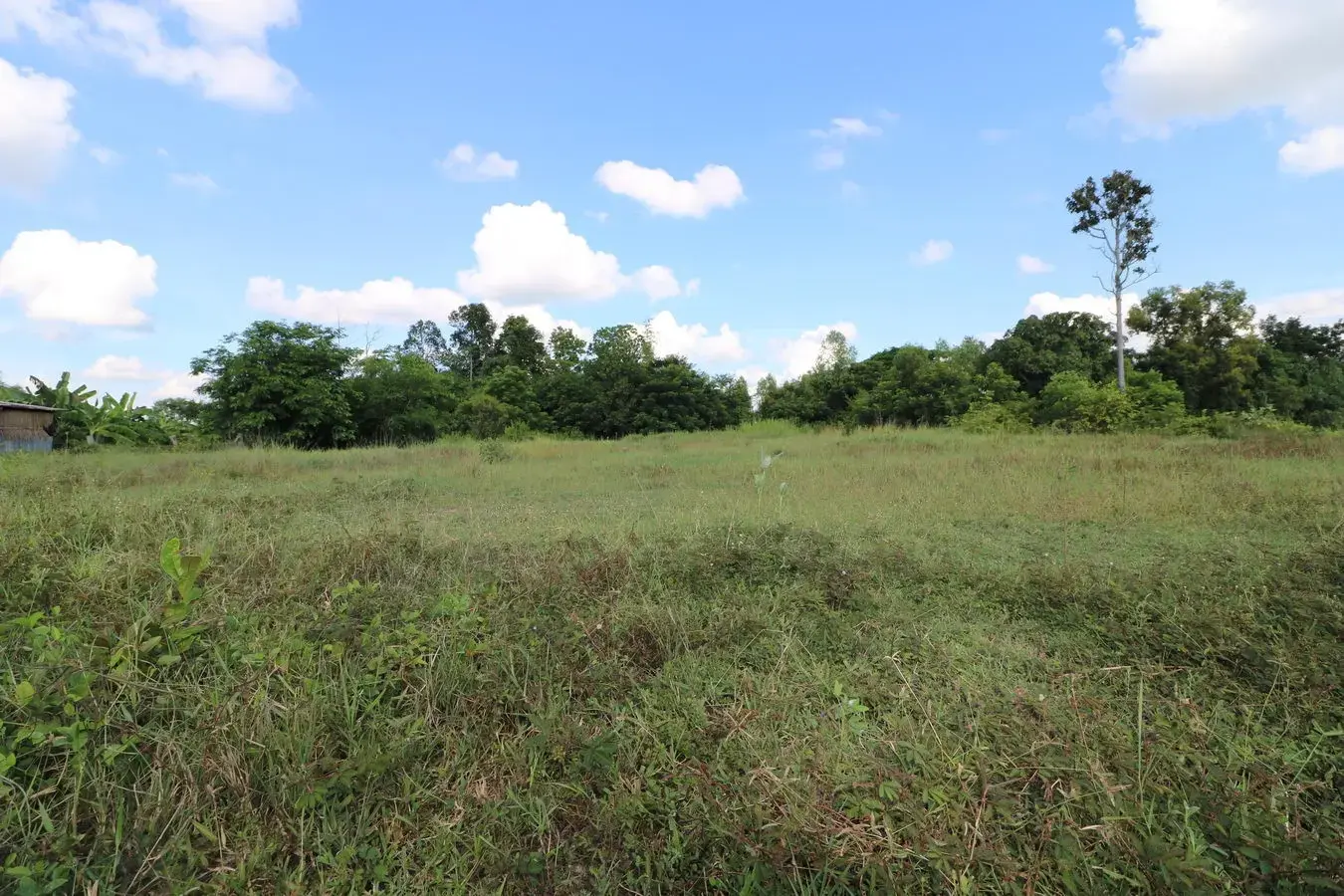 Approx. 3 Rai Land For Sale in Mu Mon, Udon Thani, Thailand
