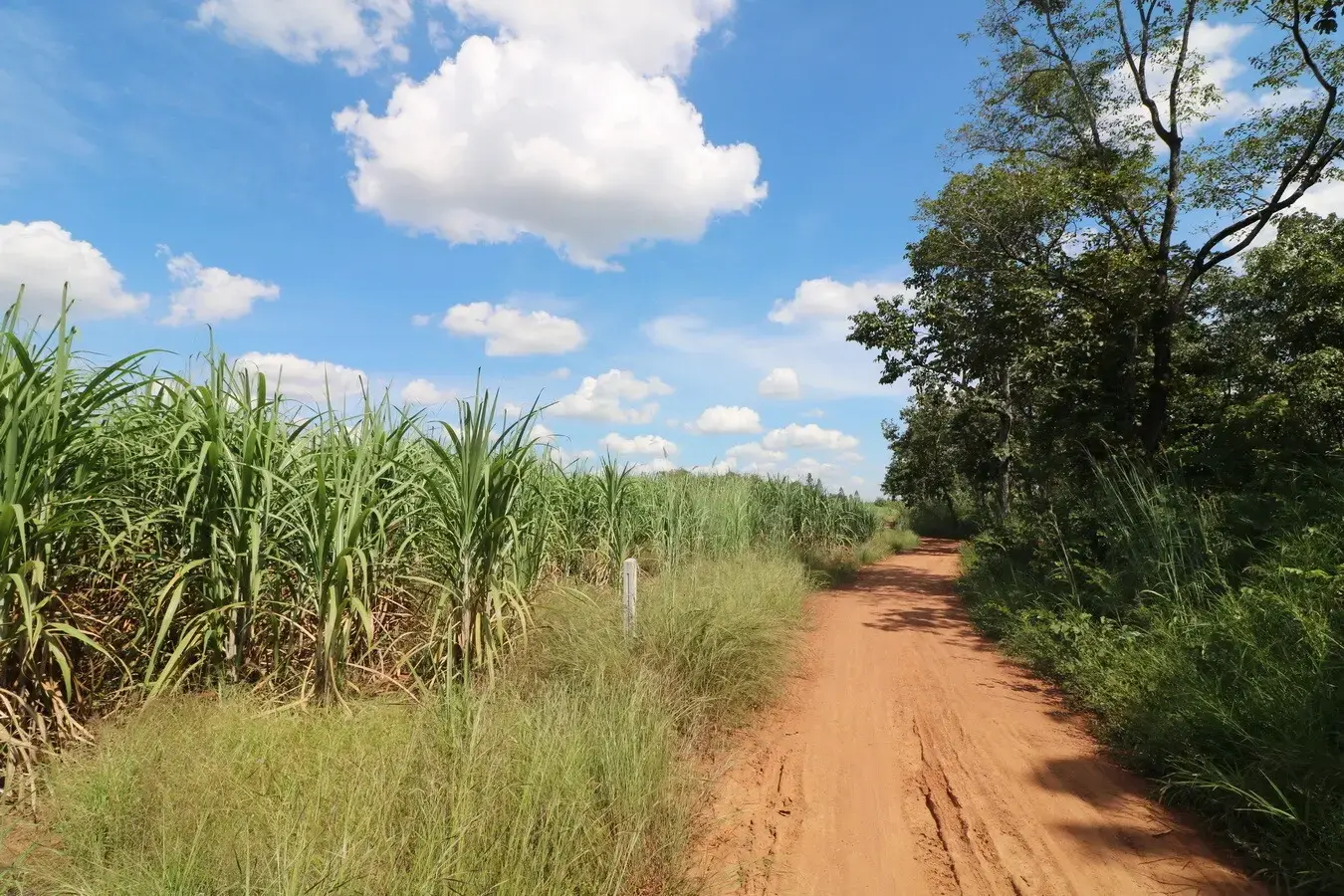Approximately 36 Rai Of Excellent Farmland Available Near Nong Bua Lam Phu, Thailand