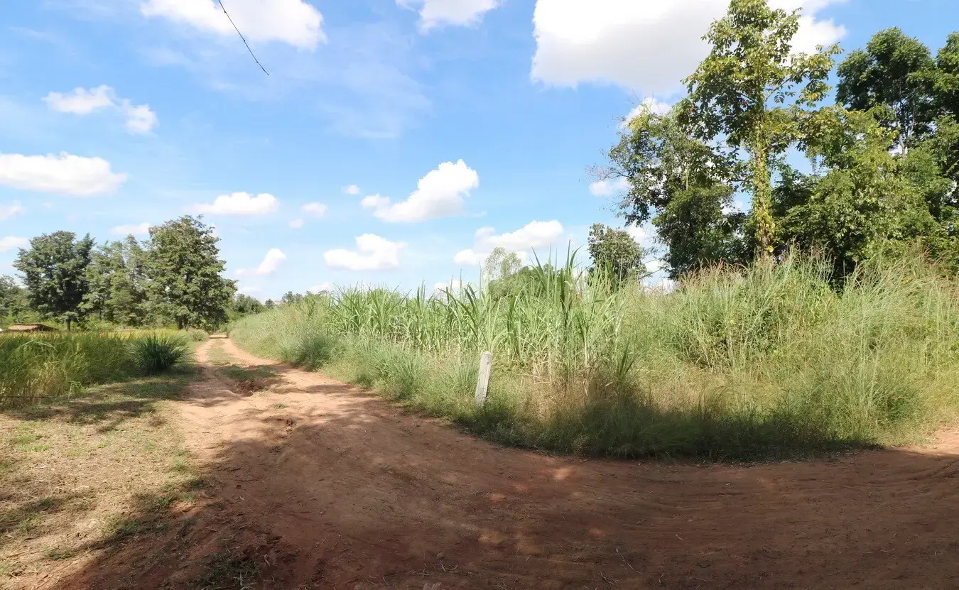 Approximately 36 Rai Of Excellent Farmland Available Near Nong Bua Lam Phu, Thailand