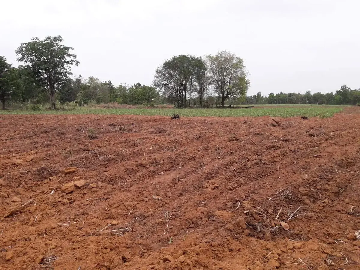 Approximately 36 Rai Of Excellent Farmland Available Near Nong Bua Lam Phu, Thailand