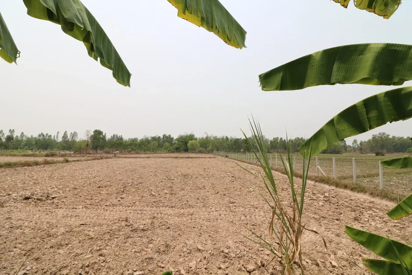 สำหรับขาย: บ้าน 2 ชั้น 3 ห้องนอน 3 ห้องน้ำ พร้อมที่ดิน 16+ ไร่ ในอำเภอหนองหาน