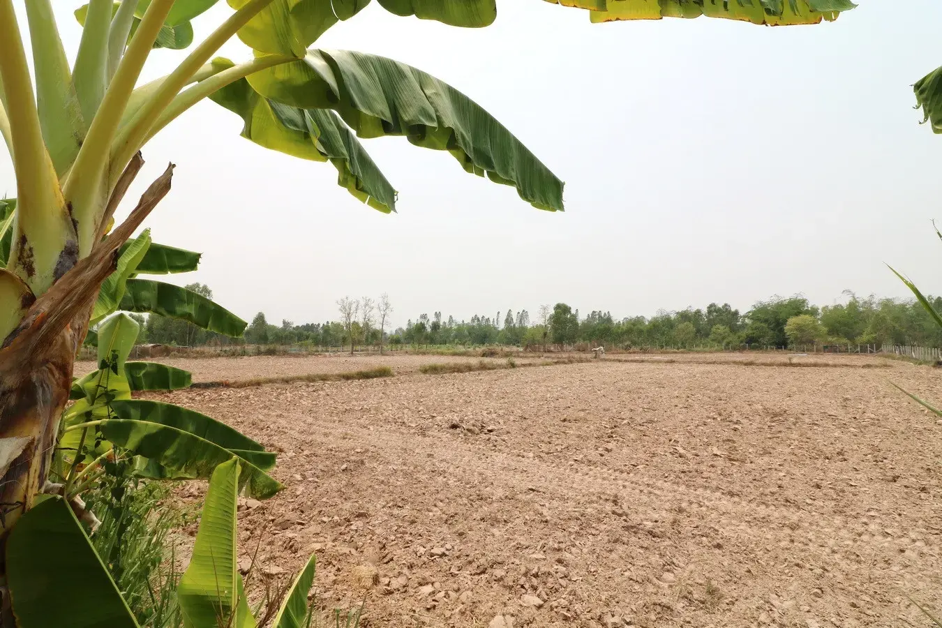 สำหรับขาย: บ้าน 2 ชั้น 3 ห้องนอน 3 ห้องน้ำ พร้อมที่ดิน 16+ ไร่ ในอำเภอหนองหาน