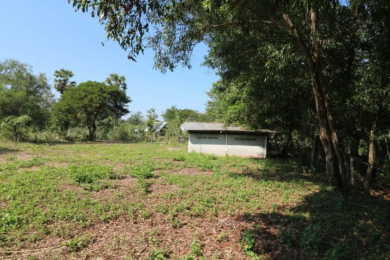 2+ Rai Of Levelled Land For Sale In A Secluded Area Of Ban Lueam, Udon Thani, Thailand