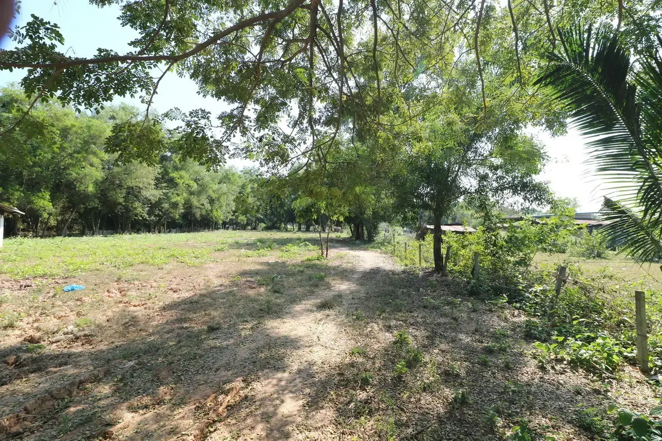2+ Rai Of Levelled Land For Sale In A Secluded Area Of Ban Lueam, Udon Thani, Thailand
