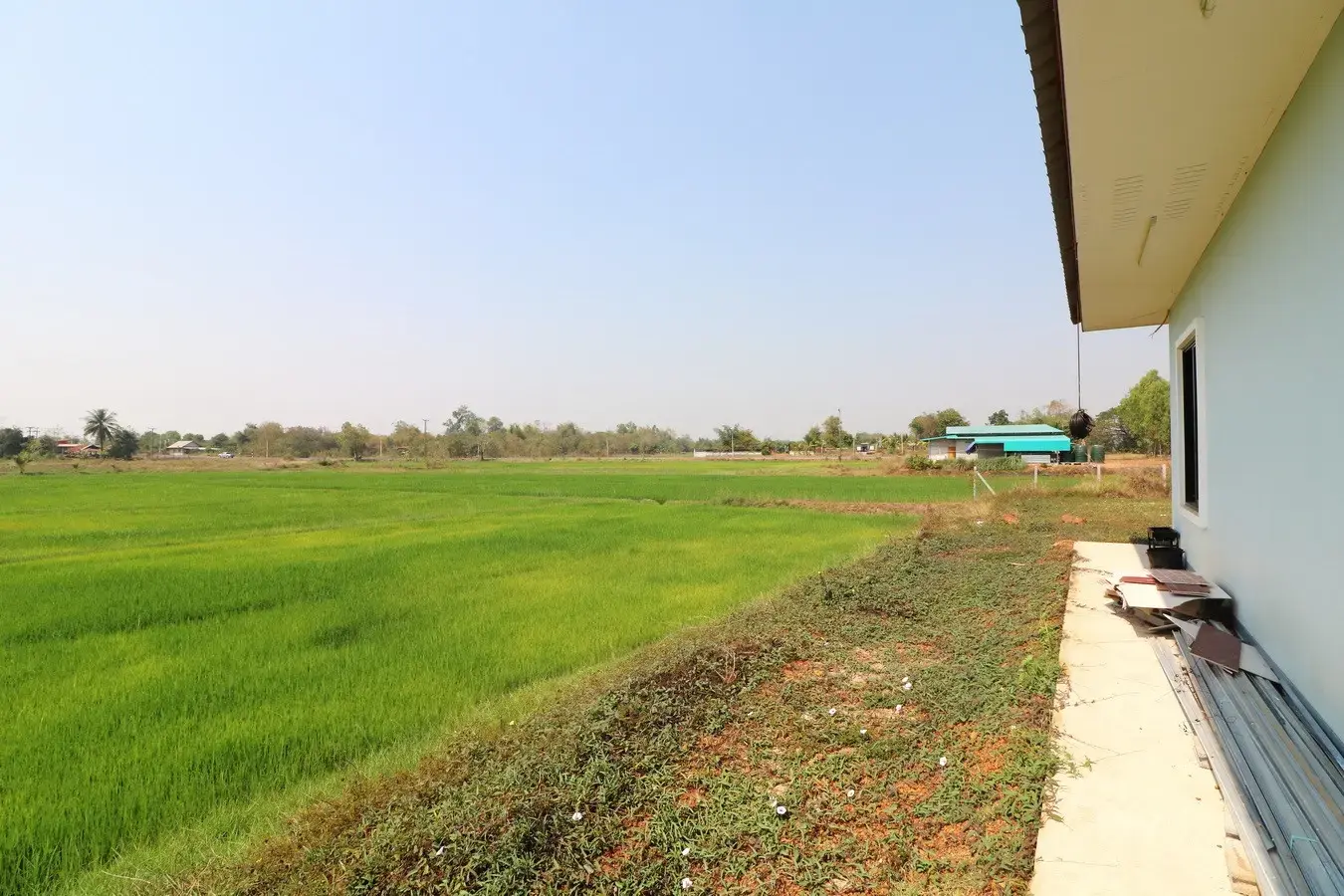 A 3 BRM, 2 BTH Home For Sale Set Upon 5,952 Sq. Mt. Tha Bo, Nong Khai, Thailand