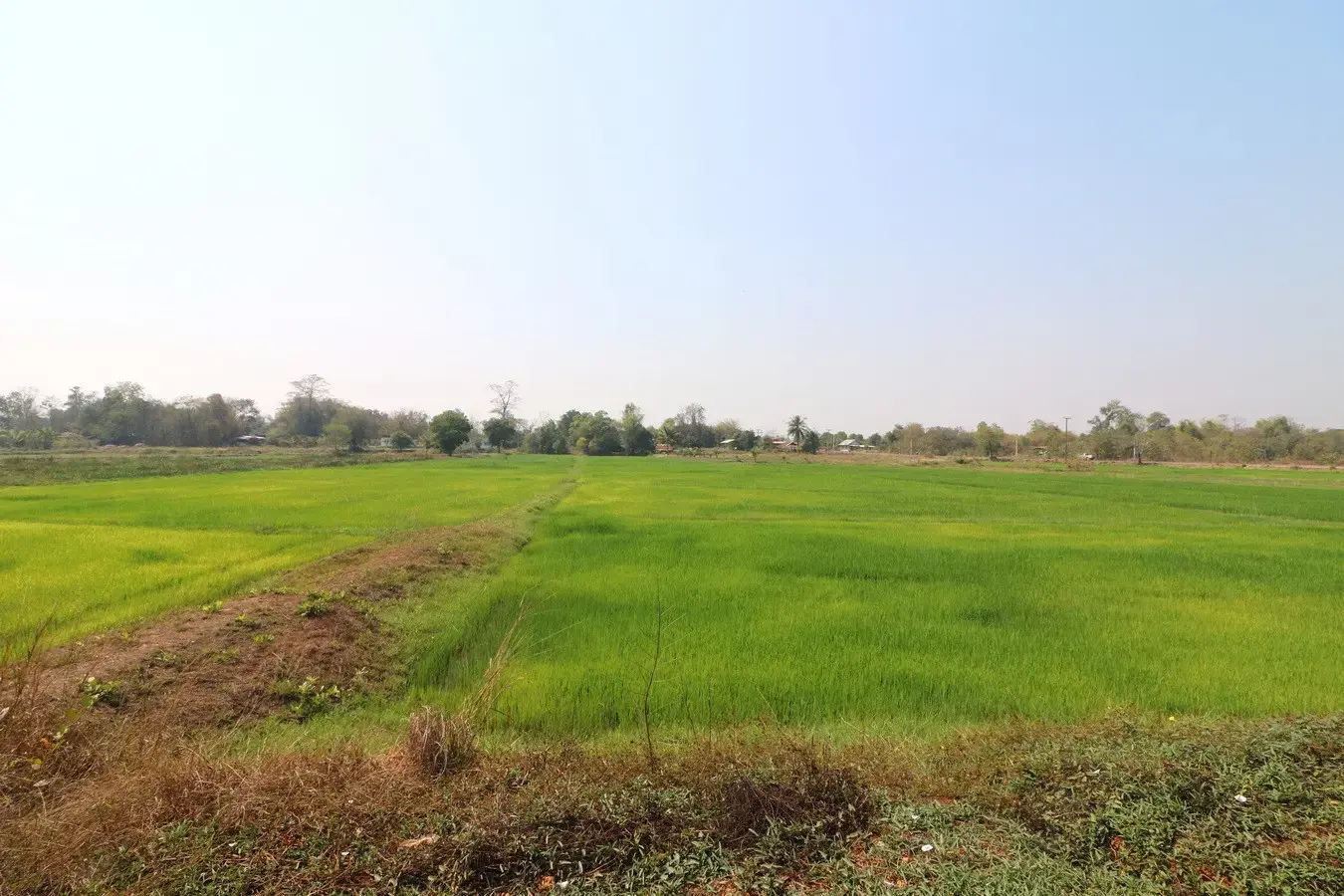 A 3 BRM, 2 BTH Home For Sale Set Upon 5,952 Sq. Mt. Tha Bo, Nong Khai, Thailand