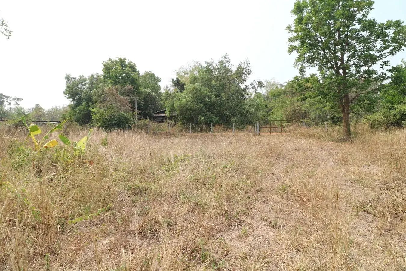 3 Rai Of Versatile Land For Sale In Sam Phrao, Udon Thani, Thailand