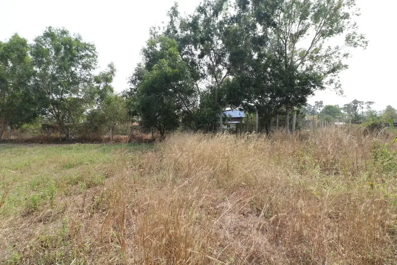3 Rai Of Versatile Land For Sale In Sam Phrao, Udon Thani, Thailand