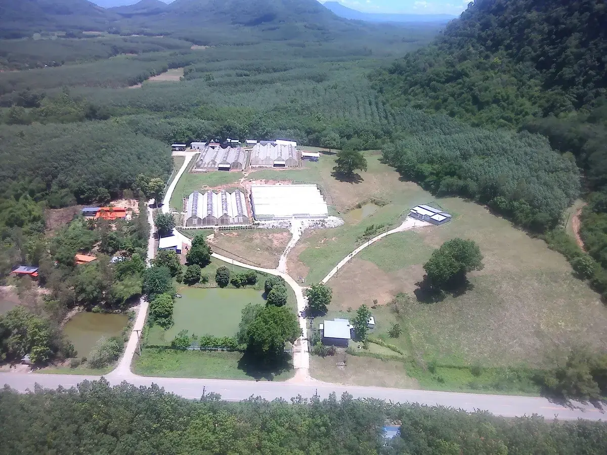 35+ Rai Of Land And Profitable Commercial Hydroponic Farm For Sale In Loei, Thailand