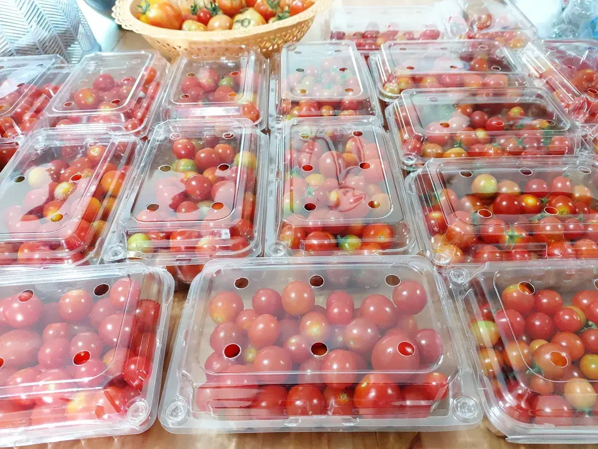 35+ Rai Of Land And Profitable Commercial Hydroponic Farm For Sale In Loei, Thailand