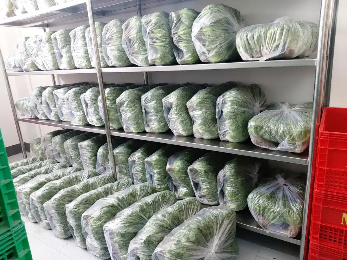 35+ Rai Of Land And Profitable Commercial Hydroponic Farm For Sale In Loei, Thailand