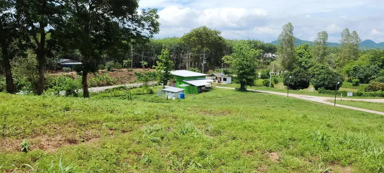 35+ Rai Of Land And Profitable Commercial Hydroponic Farm For Sale In Loei, Thailand