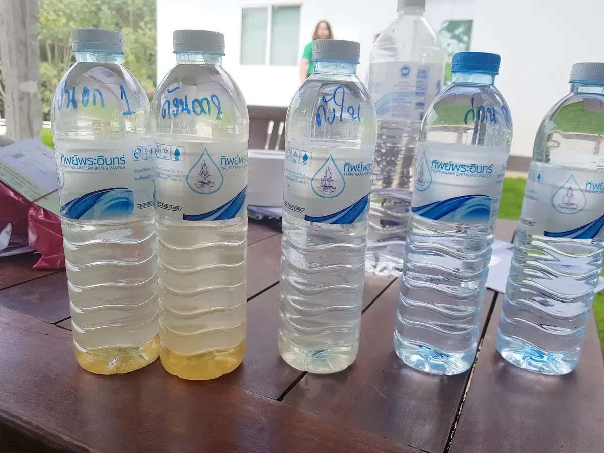 35+ Rai Of Land And Profitable Commercial Hydroponic Farm For Sale In Loei, Thailand