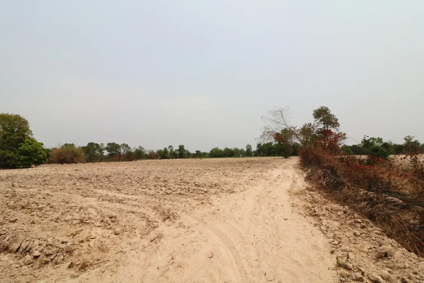27+ Rai Of Farm Land For Sale, Nong Han, Udon Thani Province, Thailand